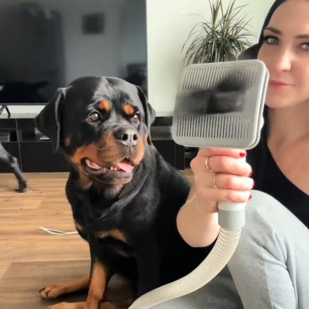 Read more about the article Clean Grooming: oneisall Dog Hair Vacuum & Grooming Kit