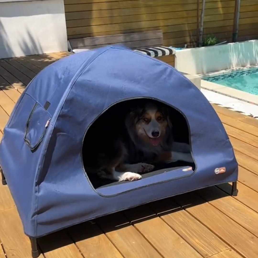 Read more about the article Pet Cot Tent: Versatile Comfort for Your Pet