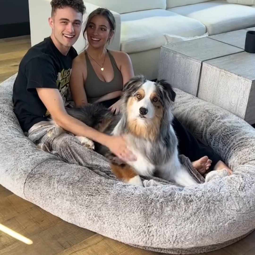 Read more about the article Plufl, The Human Dog Bed
