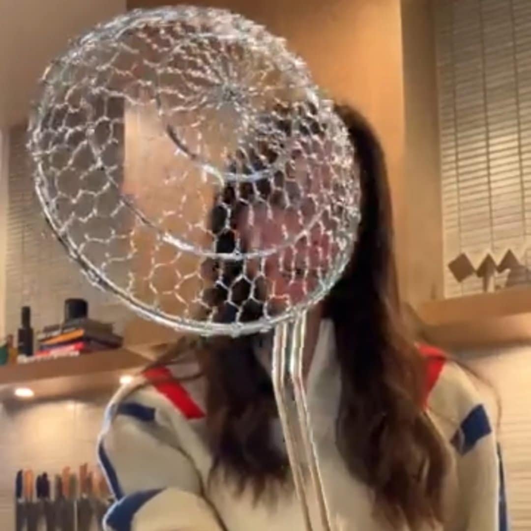 Read more about the article Scoop & Drain: Stainless Steel Spider Strainer