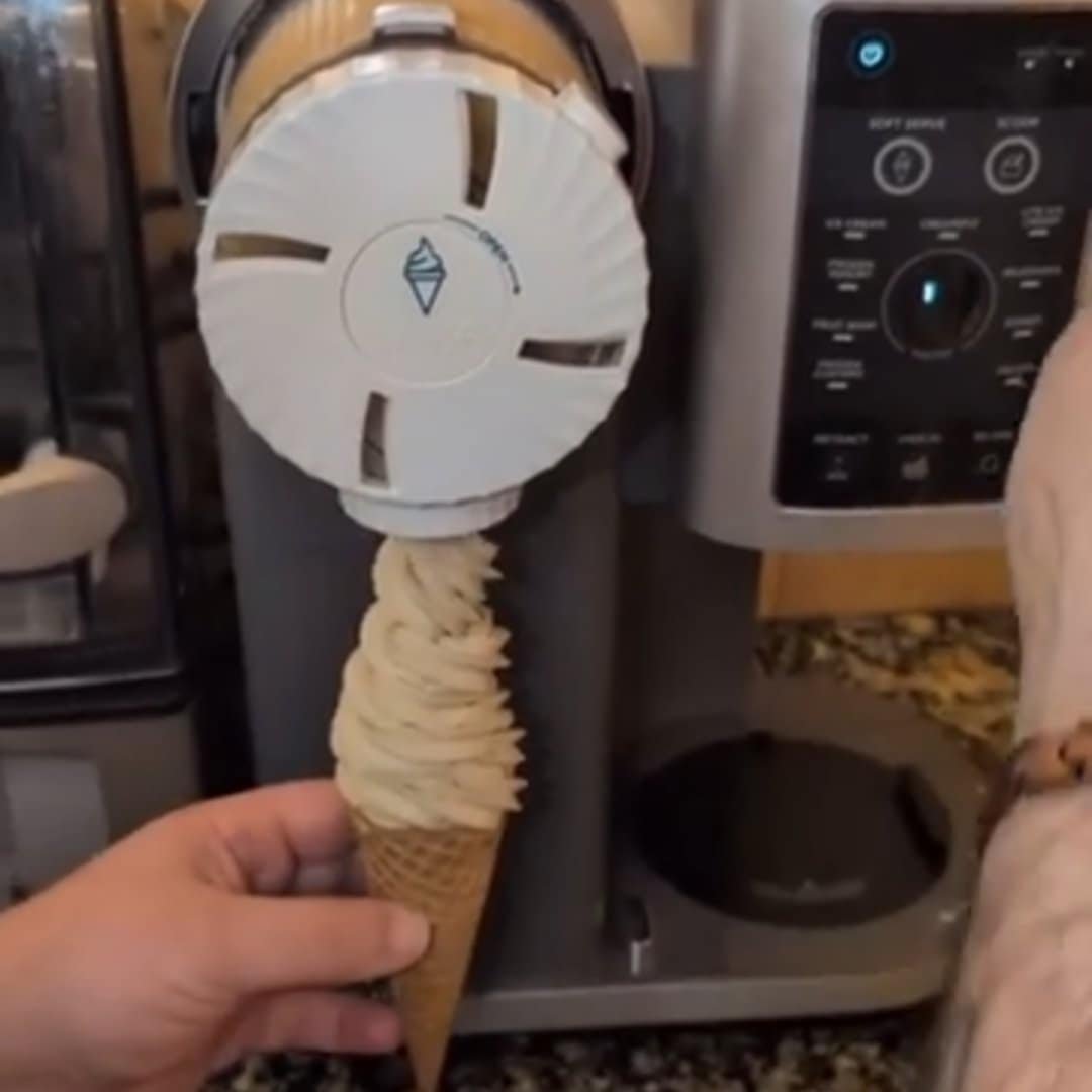 Read more about the article Swirl & Enjoy Ninja Swirl Treat Maker